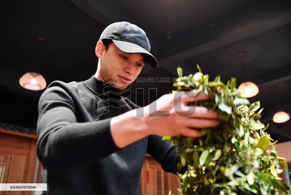 CHINA-FUJIAN-WUYISHAN-WUYI ROCK TEA (CN)