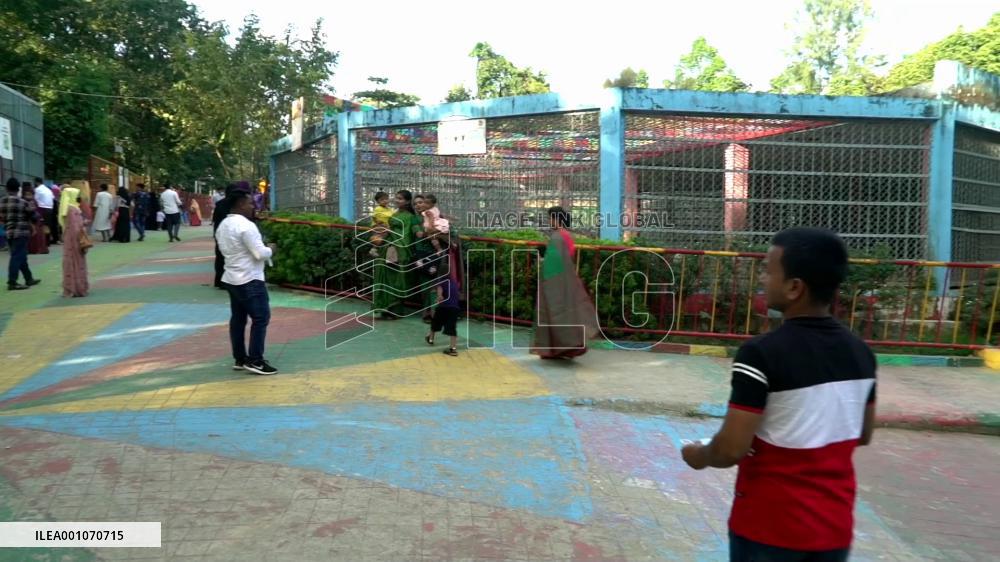 Rare white tigers revive zoo in Bangladesh