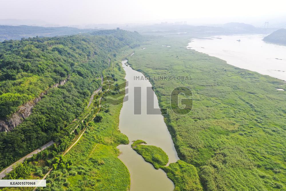 CHINA-CHONGQING-ECOSYSTEM (CN)