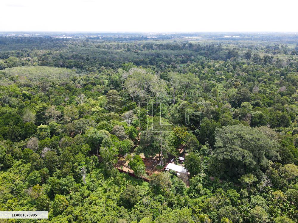 INDONESIA-JAMBI-MUARAJAMBI TEMPLE COMPLEX