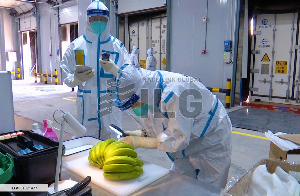 CHINA-YUNNAN-MOHAN-CHINA-LAOS RAILWAY-IMPORTED FRUITS (CN)