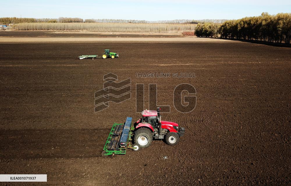 CHINA-HEILONGJIANG-WORLD SOIL DAY (CN)