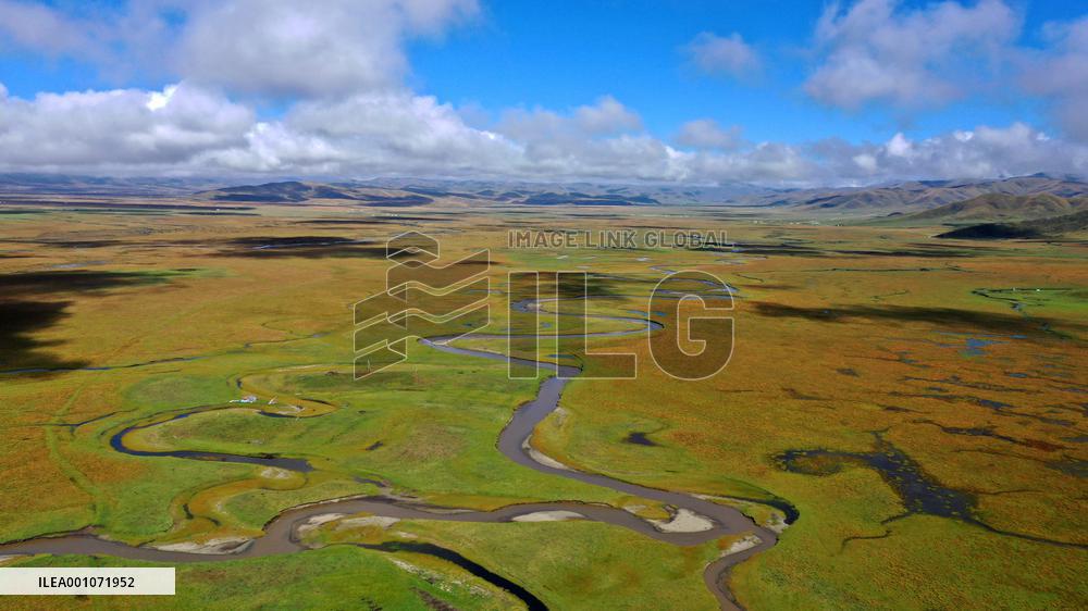 CHINA-GANSU-MAQU-SOIL PRESERVATION (CN)