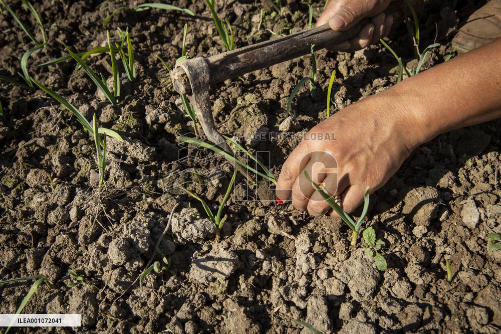 NEPAL-LALITPUR-WORLD SOIL DAY