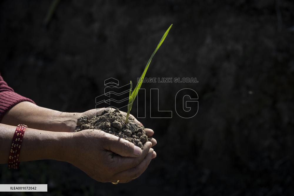NEPAL-LALITPUR-WORLD SOIL DAY