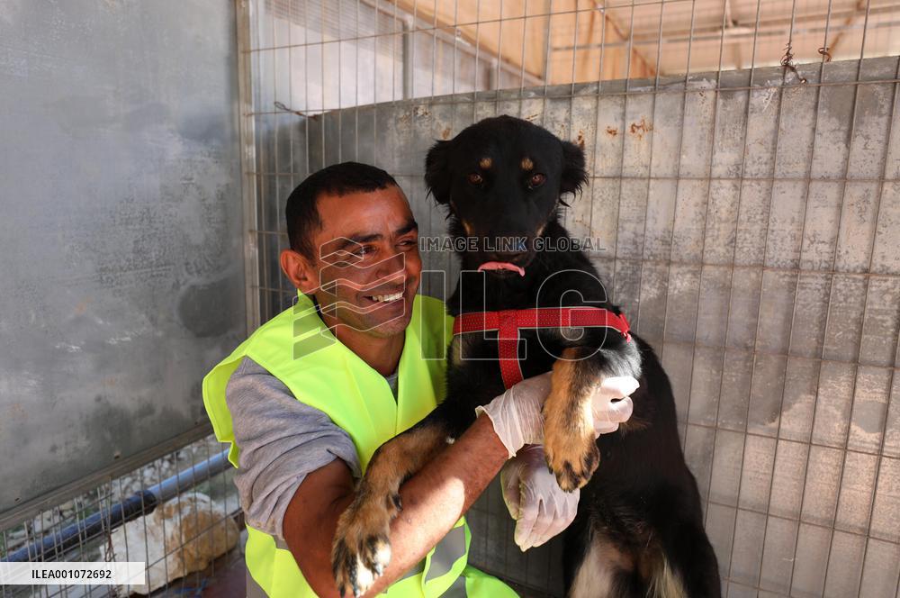 MIDEAST-RAMALLAH-DOG CARE CENTER