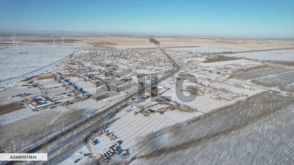 China's Jilin turns saline land into farmland
