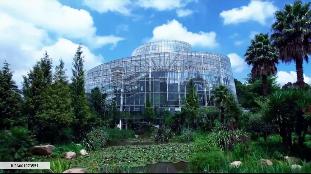 COP15 make-or-break moment for humankind, China's role crucial: UN biodiversity leader