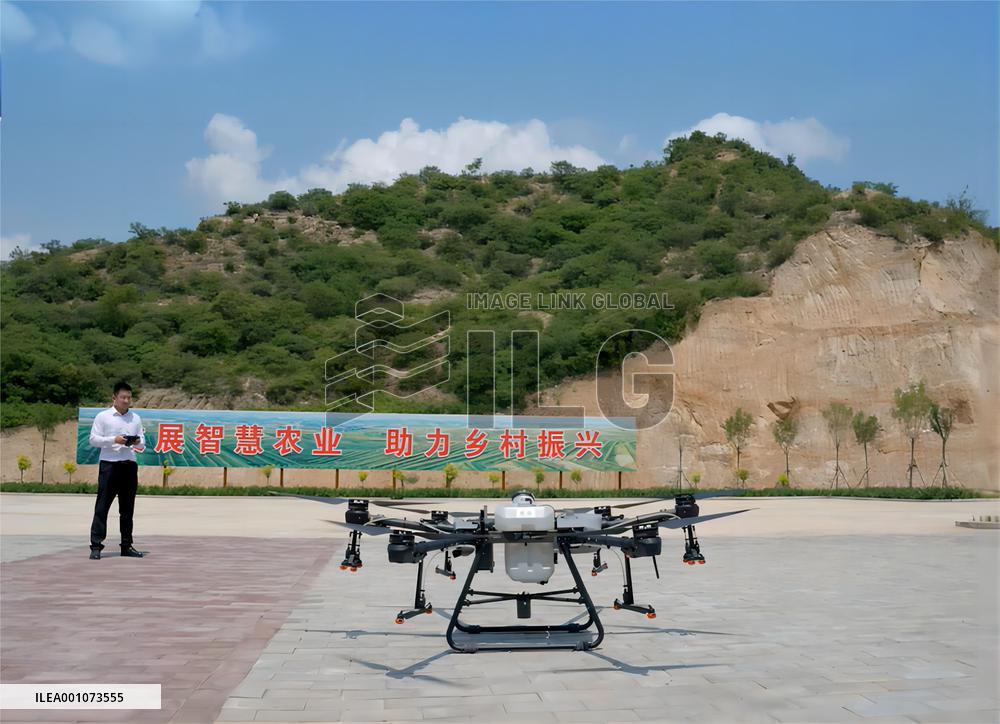 CHINA-HEBEI-PEACH ORCHARDS (CN)
