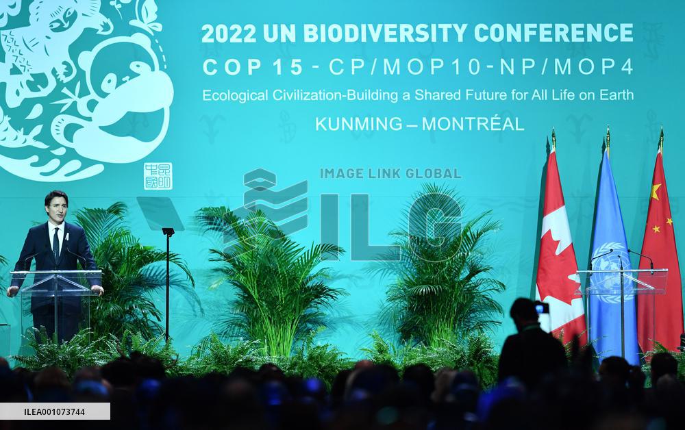 CANADA-MONTREAL-COP15-SECOND PART