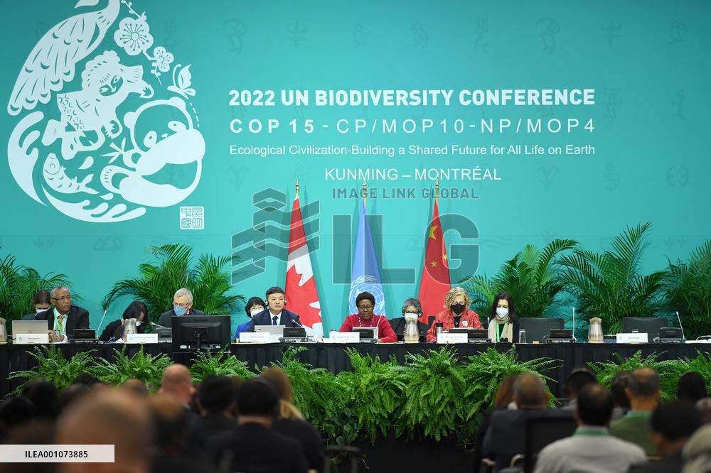 CANADA-MONTREAL-UN CONVENTION ON BIOLOGICAL DIVERSITY-COP15-OPEN