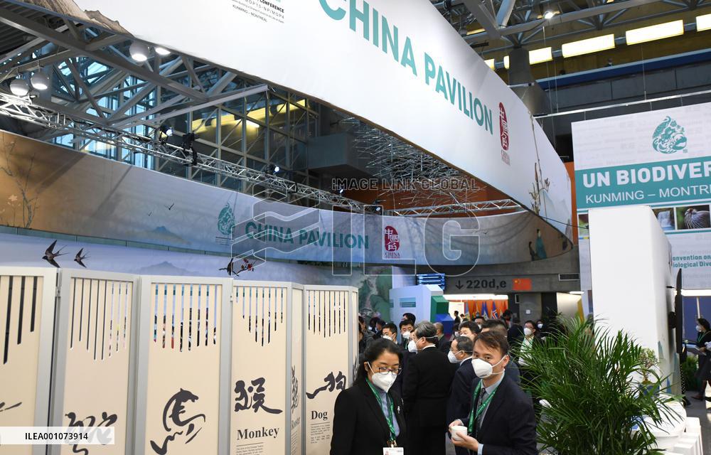 CANADA-MONTREAL-COP15-SECOND PHASE-CHINA PAVILION