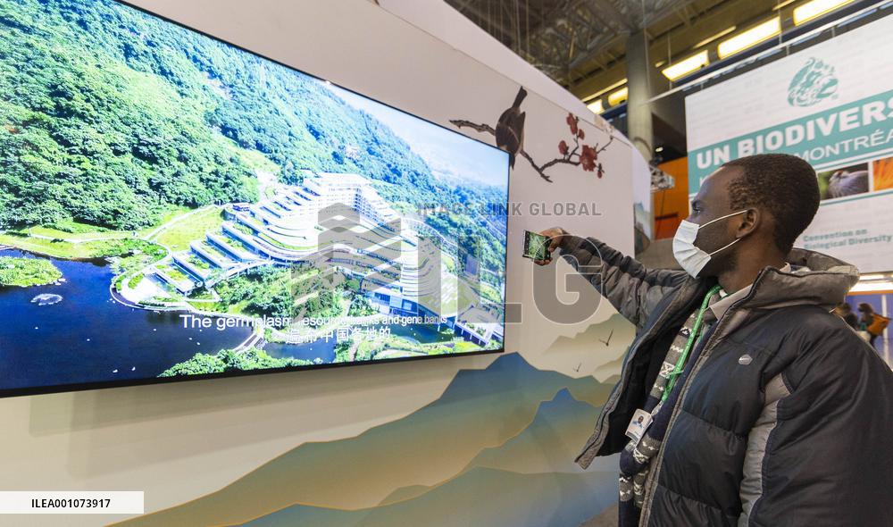 CANADA-MONTREAL-COP15-SECOND PHASE-CHINA PAVILION