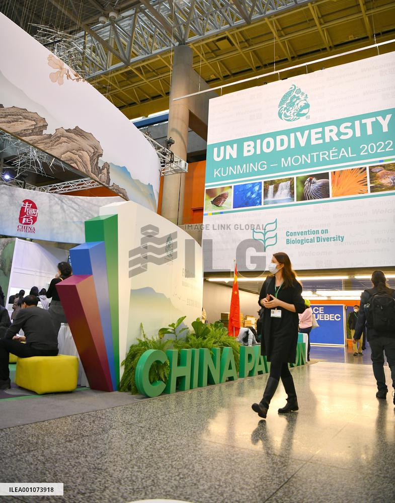 CANADA-MONTREAL-COP15-SECOND PHASE-CHINA PAVILION