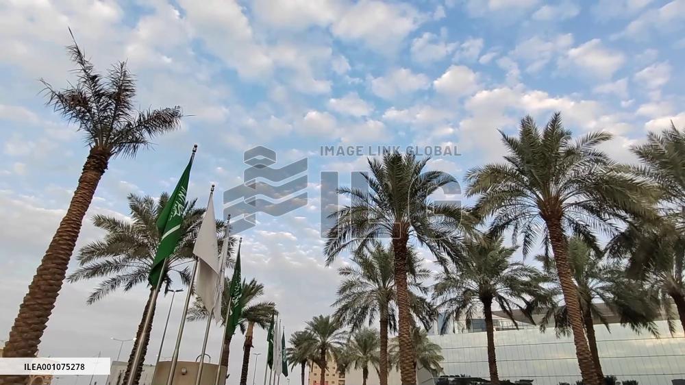 China to play greater role in Middle East with win-win understanding: observers