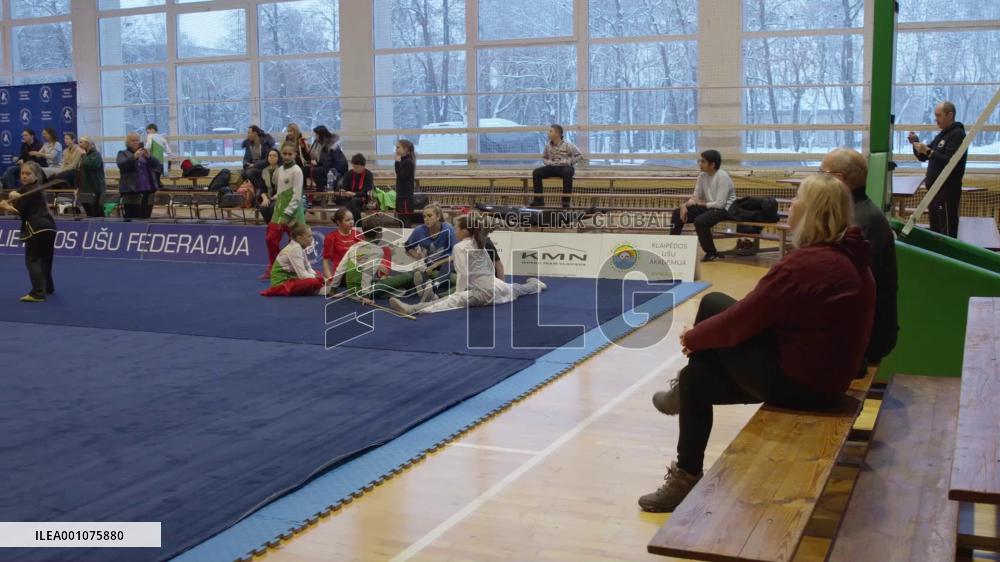 Lithuanian Wushu Championship held in Vilnius