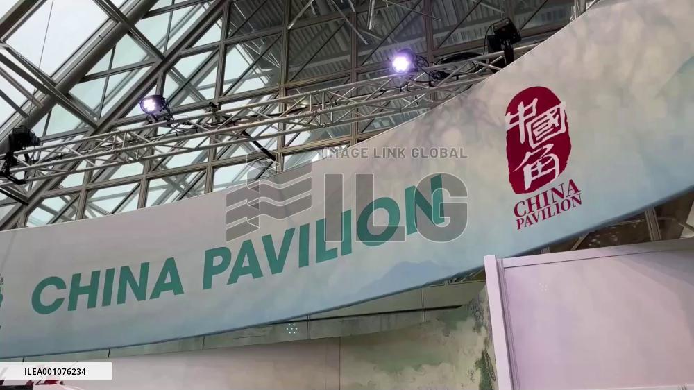 China pavilion of COP15 celebrates theme day of giant panda's hometown
