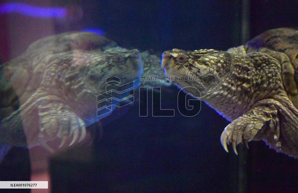 CANADA-QUEBEC-BECANCOUR-BIODIVERSITY MUSEUM