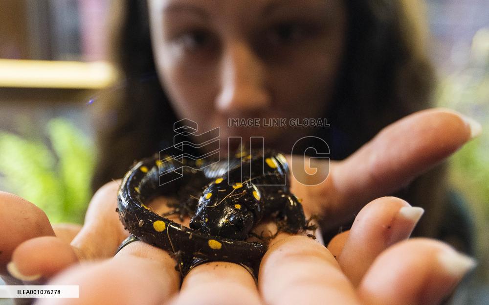 CANADA-QUEBEC-BECANCOUR-BIODIVERSITY MUSEUM