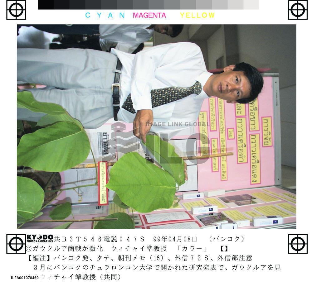 Thai herb a low-priced rival to Viagra