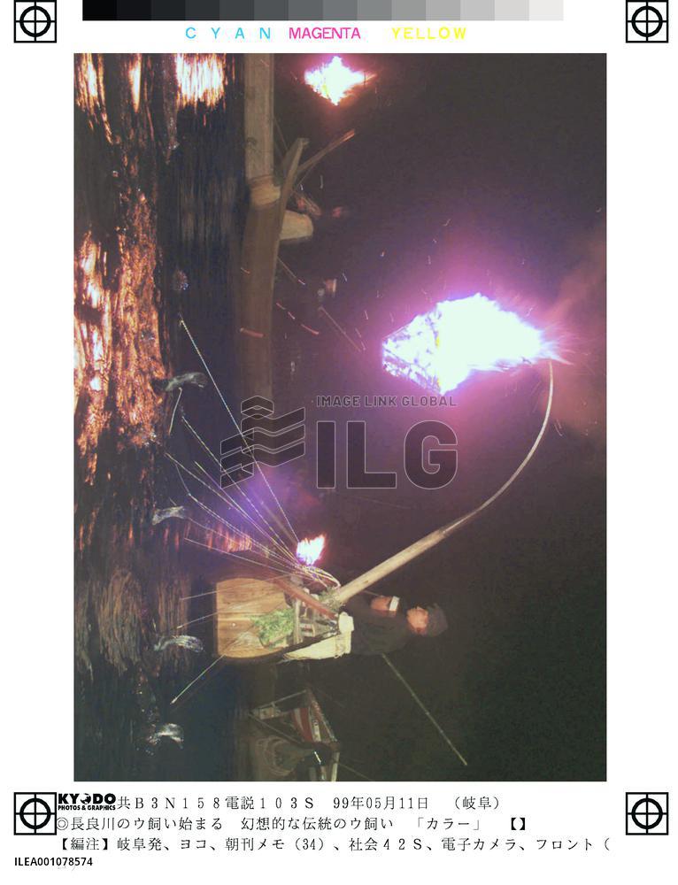 Season for cormorant fishing begins