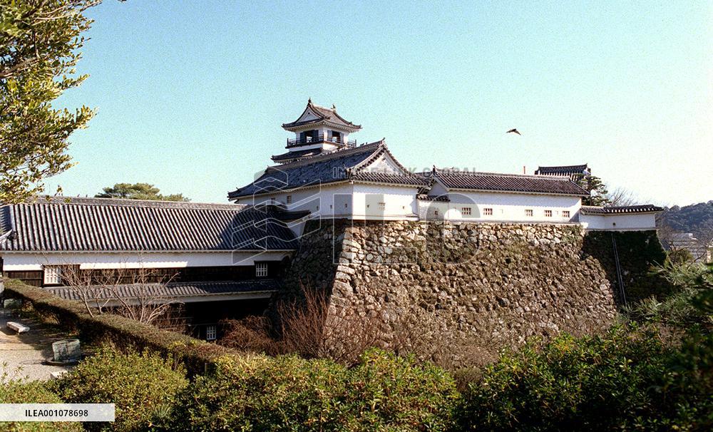Japanese Castle