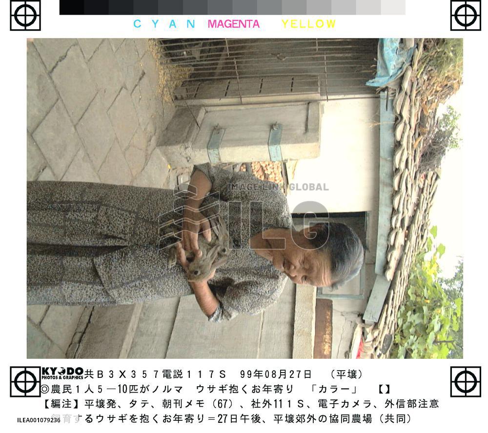 N. Korean farmers ordered to grow up 5-10 rabbits per head