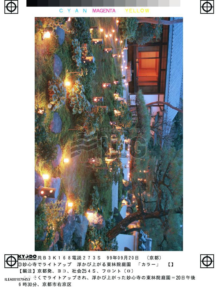 Kyoto temple garden lit up with candles