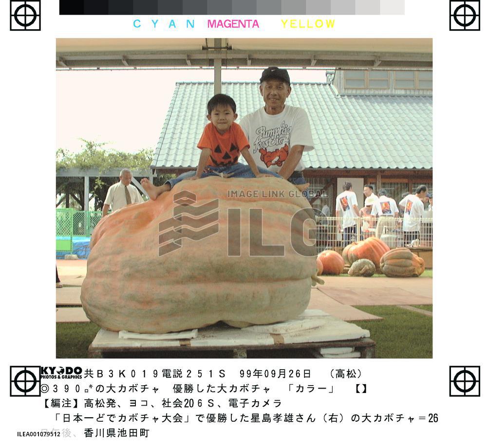 Okayama farmer wins giant pumpkin contest