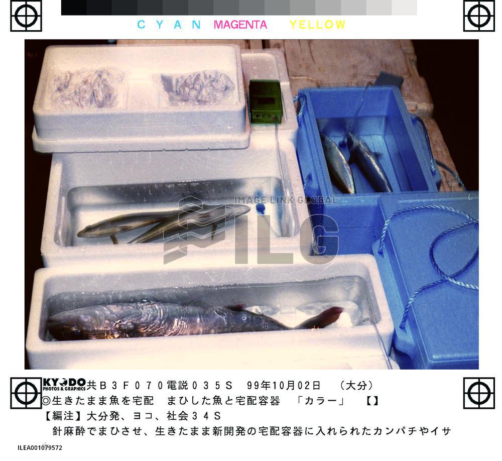 Door-to-door live fish delivery business to begin soon