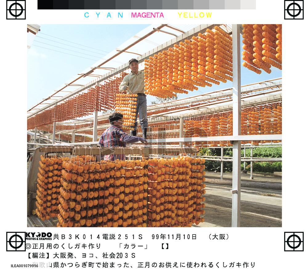 Drying persimmons in peak season