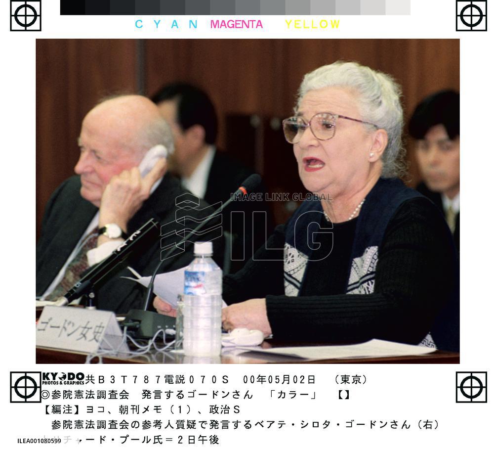Gordon speaks at upper house panel on Constitution enactment