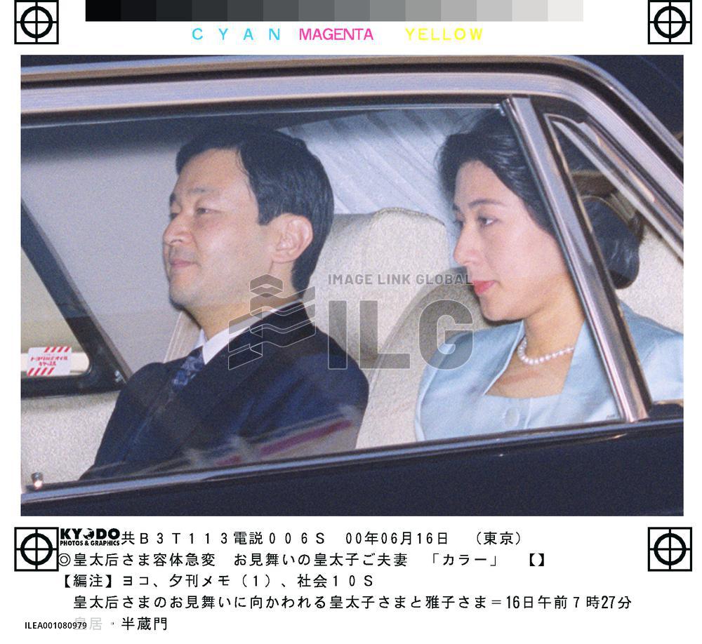 Crown Prince Naruhito, Princess Masako visit Imperial Palace