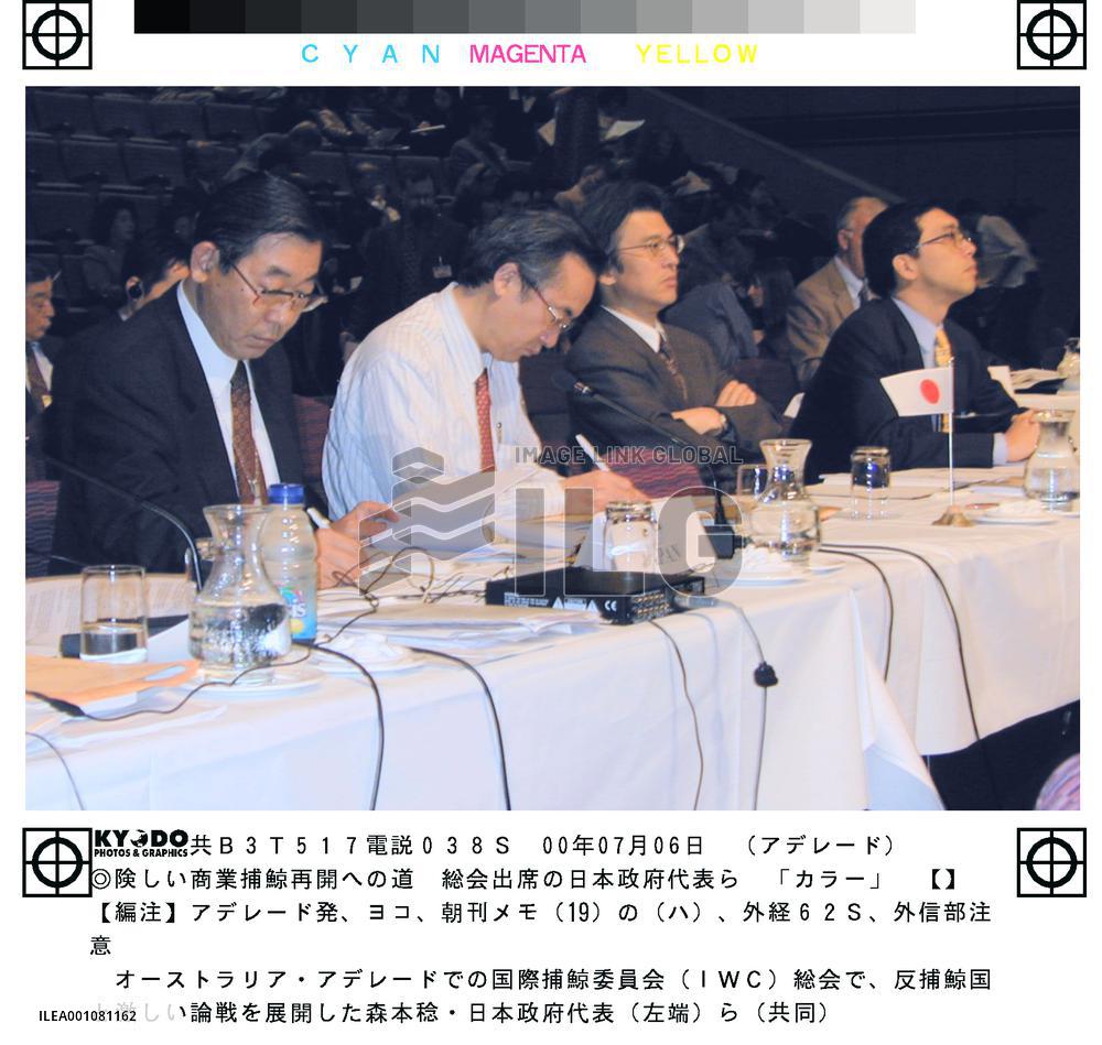 Prospects dim for Japan's resumption of commercial whaling