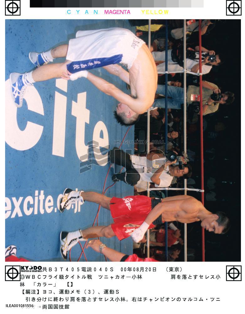 Kobayashi comes up short in WBC flyweight challenge