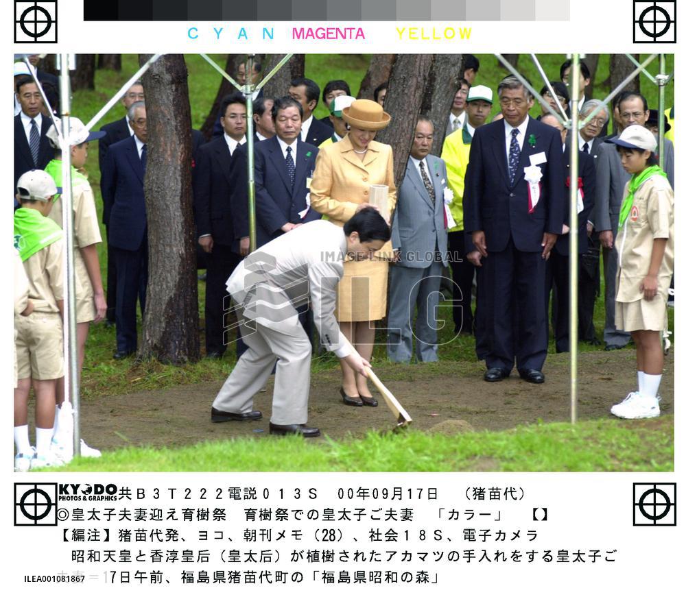 Crown prince, princess attend tree-raising ceremony