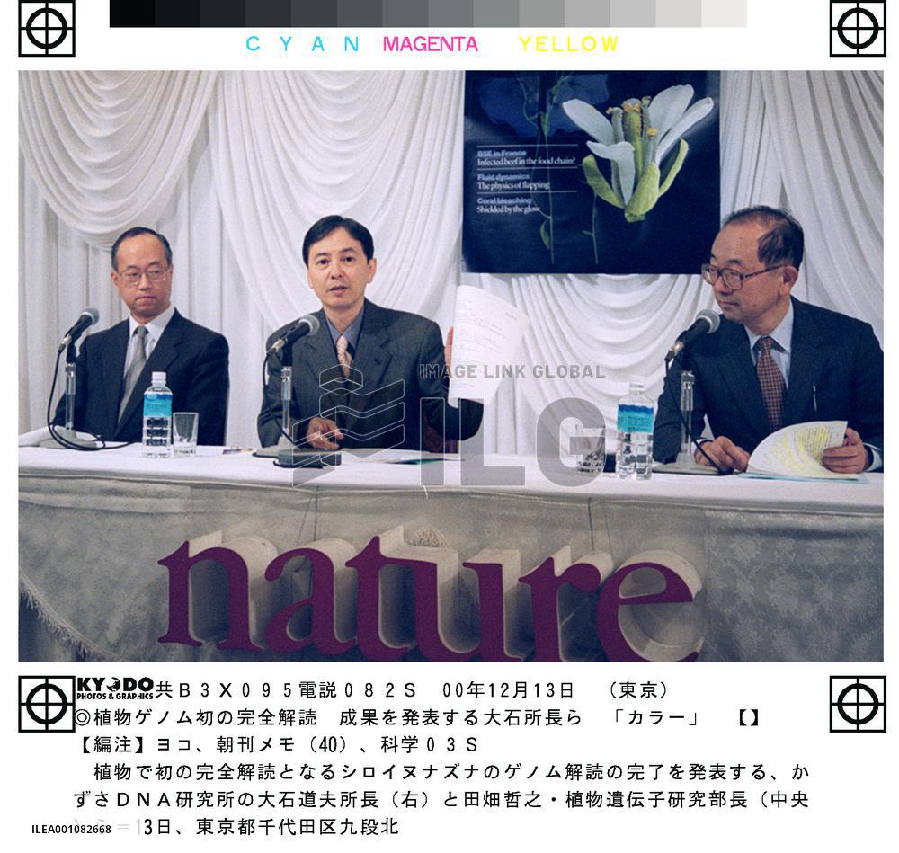 Researchers decode plant genome for 1st time