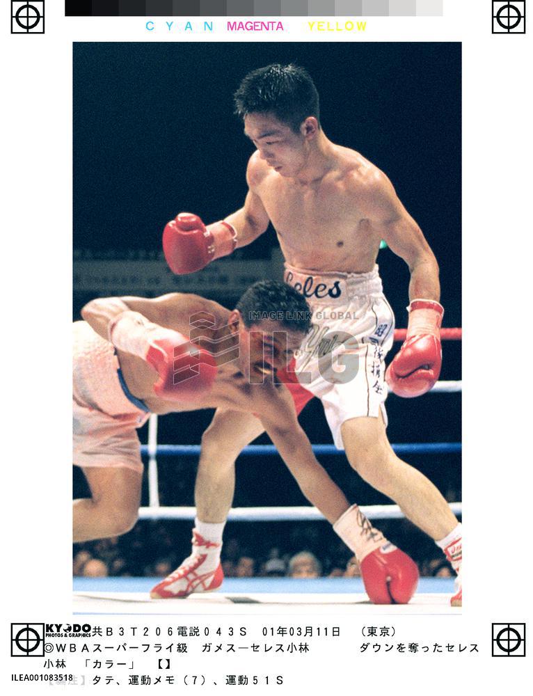 Kobayashi wins WBA super flyweight crown by TKO