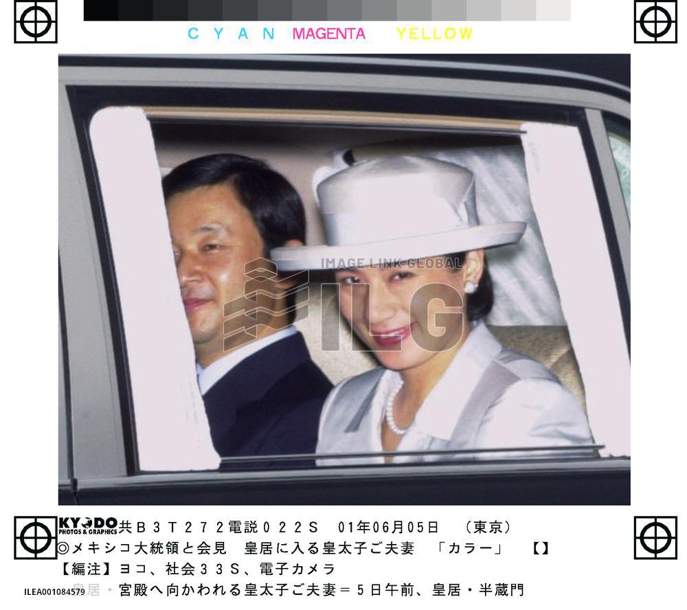 Crown prince, princess driven to Imperial Palace