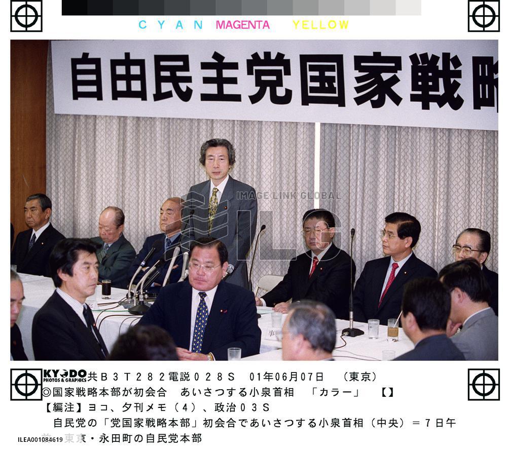 LDP launches panel to draw up long-term national strategy
