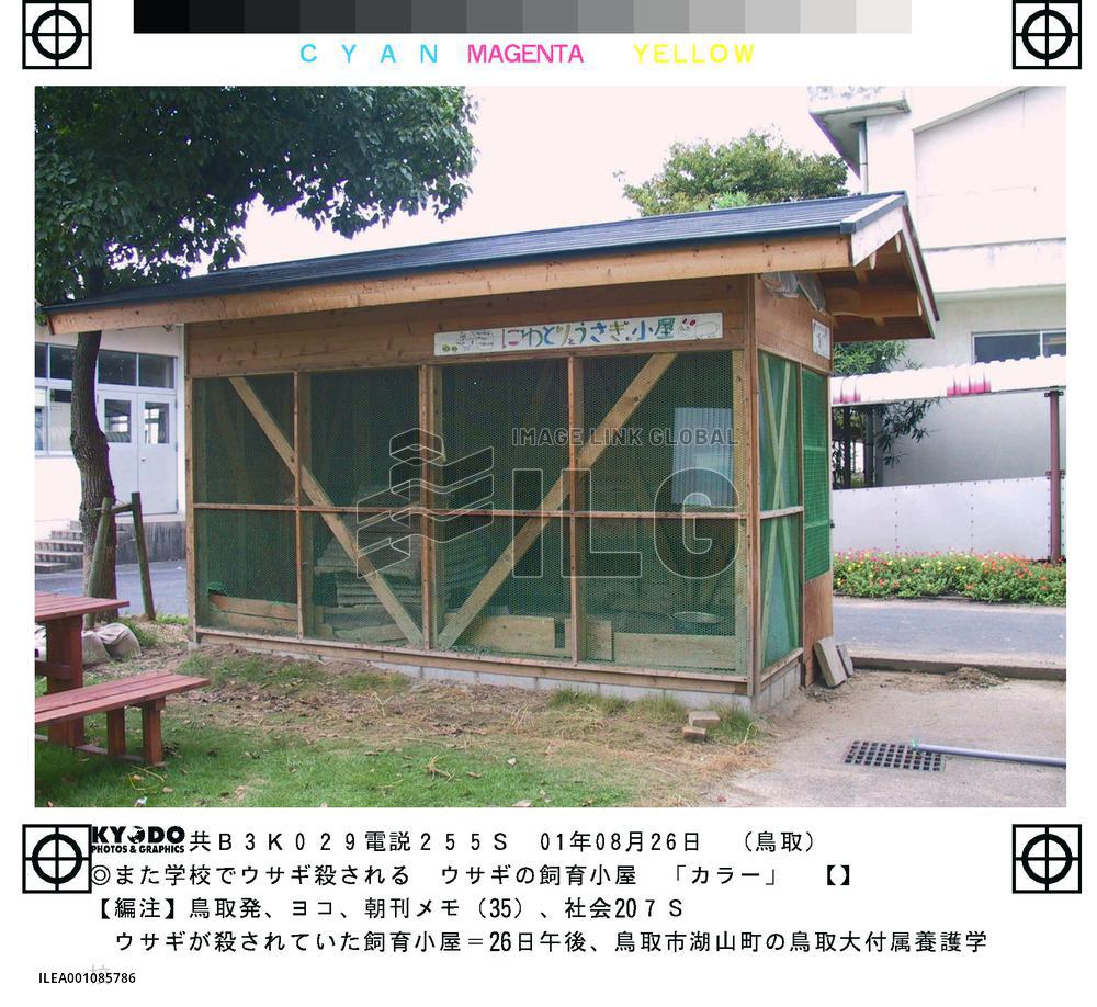 11 rabbits found killed at school in Tottori
