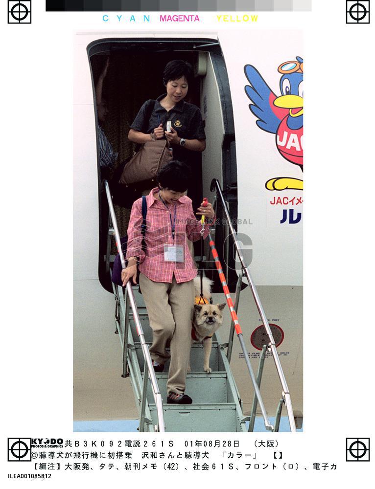 Guide dog for deaf takes 1st flight in Japan