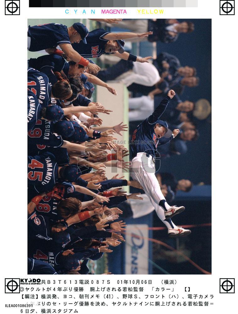 Yakult ends skid to clinch 6th Central League pennant