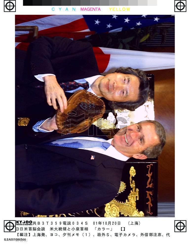 Koizumi, Bush reconfirm resolve to combat terrorism