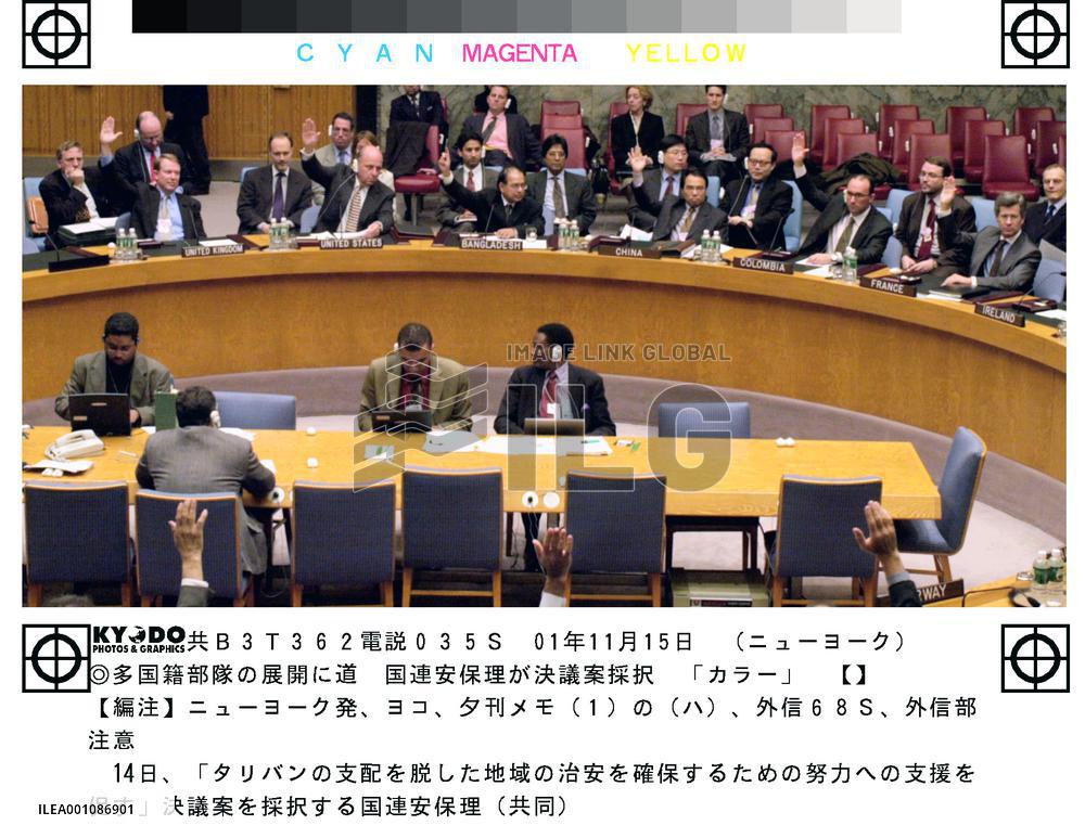 U.N. council expresses 'strong support' for new Afghan gov't