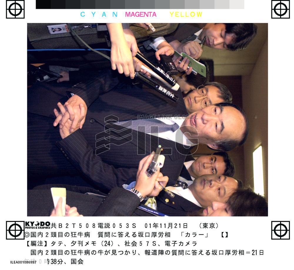 (1)Health ministry finds 2nd mad cow case in Hokkaido