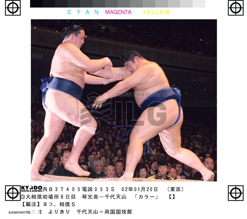 Kotomitsuki perfect at 8-0