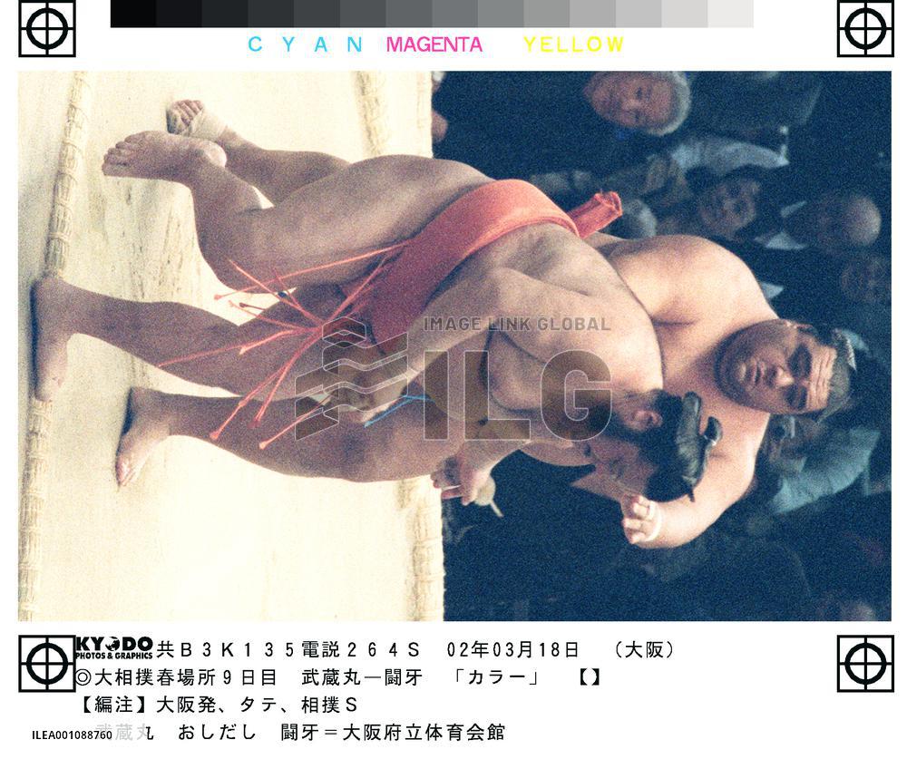 Maru beats Toki, keeps perfect record at spring sumo