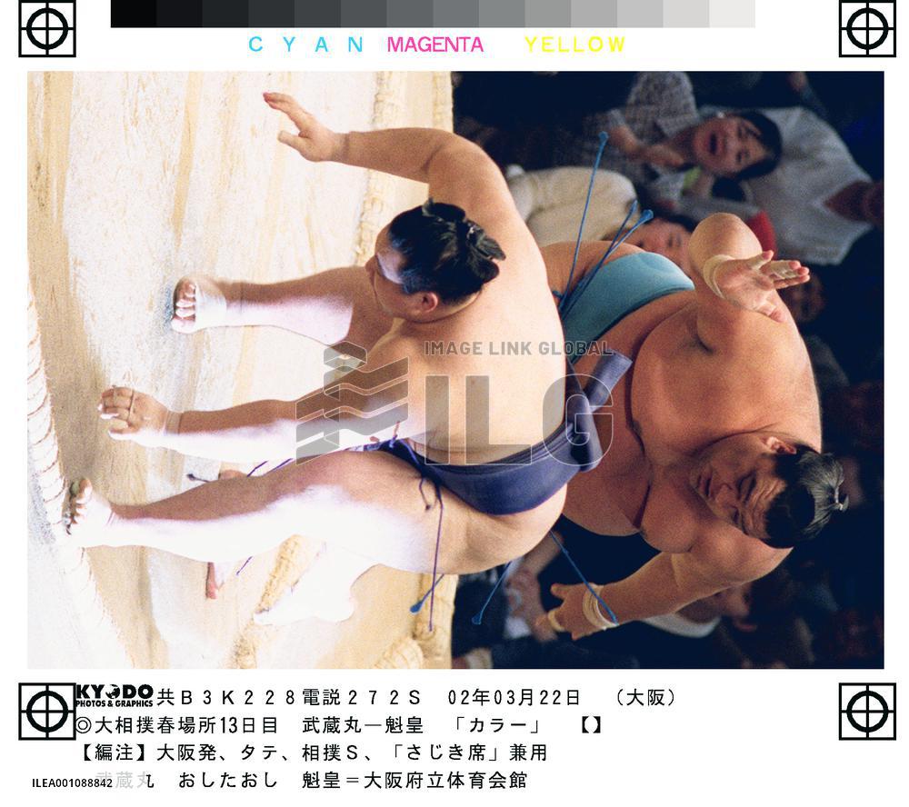 Musashimaru downs Kaio, 1 win away from spring sumo crown