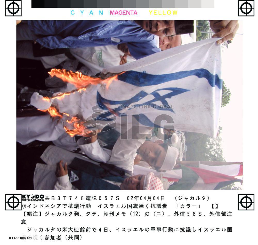 Indonesian protesters burn Israeli flag